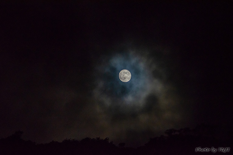 月の光 月光 満月 月明かり 月蝕