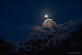 月の光満月月光月明かり